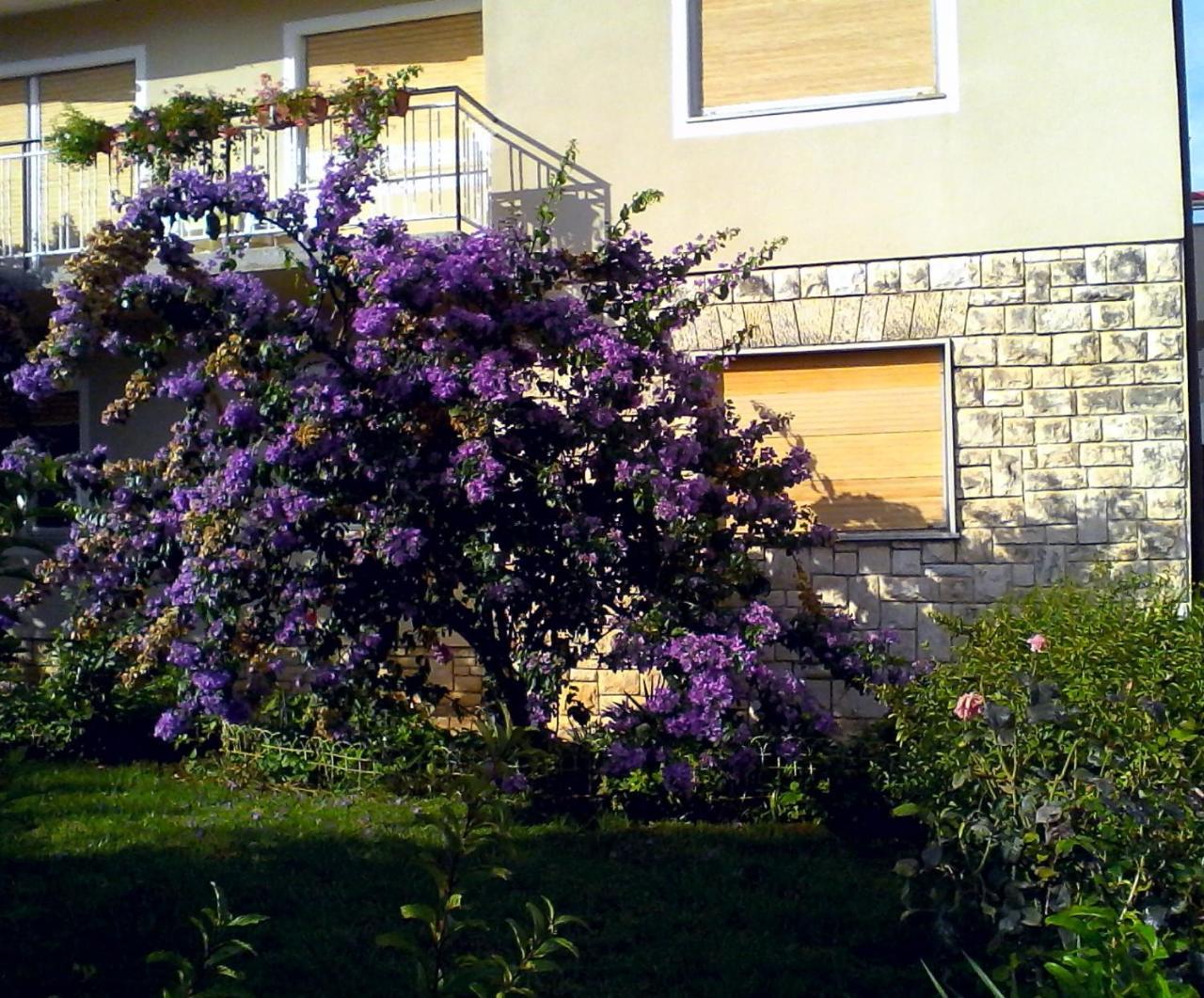 Lovely Apartment In Pomer Exterior foto
